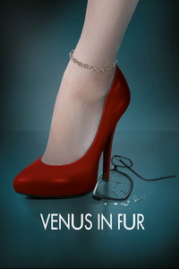 Venus in Fur (2013) poster