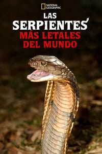 Poster de World's Deadliest Snakes