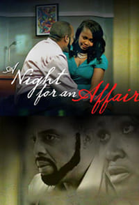 A Night For An Affair (2015)