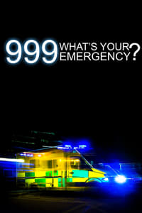 copertina serie tv 999%3A+What%27s+Your+Emergency%3F 2012