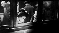 Обои к фильму «Дикие маки (1935)» — (12 из 16)