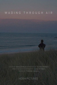 Poster de Wading Through Air
