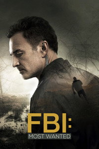 Постер сериала «ФБР: Самые разыскиваемые преступники (2020-2025)» — (11 из 71)
