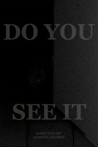DO YOU SEE IT
