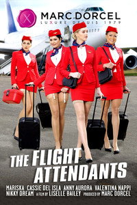 The Flight Attendants