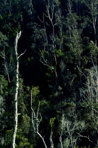 Imagem do Filme the sky in our hands, our hands in the sky