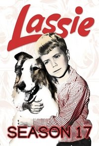 Season 17 Poster