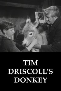 Tim Driscoll's Donkey (1955)