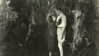 «Lorraine of the Lions (1925)» — обои к фильму #1