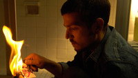 «Ночной буйвол (2007)» — обои к фильму #1
