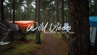 Wild Youth