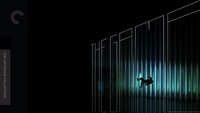 The Game