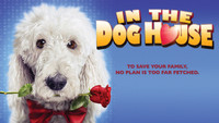 «In the Dog House (2014)» — обои к фильму #2