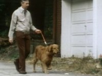 Mister Rogers Takes Barney For a Walk