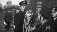 Обои к фильму «Кошачьи следы (1971)» — (11 из 12)
