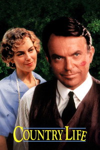 Постер фильма «Провинциальный роман (1994)» — (5 из 11)