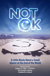 Постер фильма «Not Ok (a little movie about a small glacier at the end of the world) (2018)» — (1 из 1)