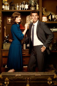 Постер сериала «Кости (2005 - 2017)» — (57 из 181)
