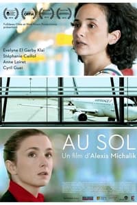 Au sol (2014)