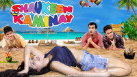 «Shaukeen Kaminay (2016)» — обои к фильму #1
