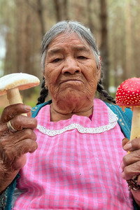 Imagem do Filme Daughters of the Forest