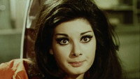 «Мужчина с золотой кистью (1969)» — обои к фильму #1