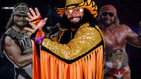«WWE: Macho Madness - The Randy Savage Ultimate Collection (2009)» — обои к фильму #1