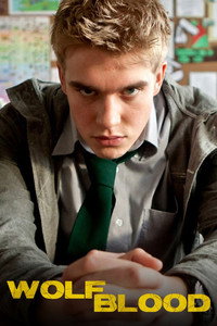 Постер сериала «Из рода волков (2012-2017)» — (11 из 40)