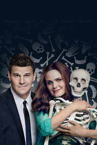 Постер сериала «Кости (2005 - 2017)» — (58 из 181)