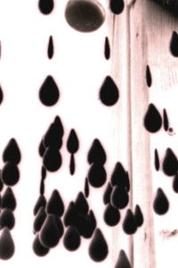 Imagem do Filme Something To Treasure