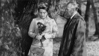 «Ромео и Джульетта в старости (1972)» — обои к фильму #3