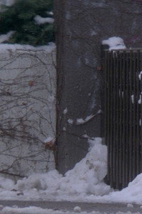 Постер фильма «Любовное письмо (1995)» — (13 из 27)