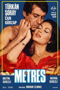 The Mistress (1983) subtitle poster