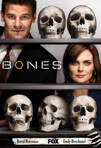 Постер сериала «Кости (2005 - 2017)» — (66 из 181)