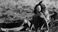 «Табачная дорога (1941)» — обои к фильму #1