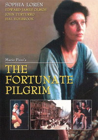 Постер сериала «Счастливая странница (1988)» — (2 из 3)