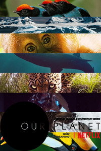 Постер сериала «Наша планета (2019-2023)» — (8 из 54)