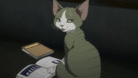The Feline D-REX from Another World