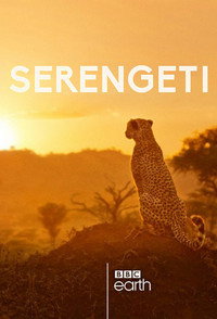 Постер сериала «BBC: Серенгети (2019)» — (2 из 18)