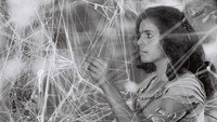 «Серебряная пряжа Каролины (1984)» — обои к фильму #2