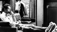 «Лошадь во фланелевом сером костюме (1968)» — обои к фильму #1