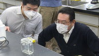 Researchers Develop Plastic That Decomposes After Use