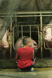 Постер фильма «Pigs (2013)» — (2 из 2)