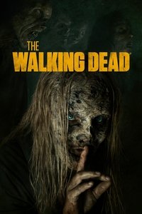 Watch The Walking Dead all episodes and seasons full hd online now