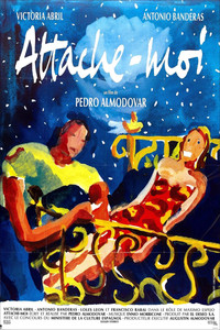 Affiche de la recommandation : Attache-moi !