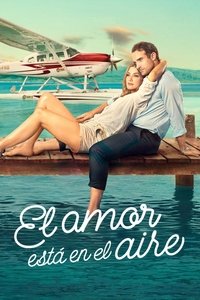 Poster de El amor está en el aire