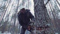«Территория успеха (2017)» — обои к фильму #1