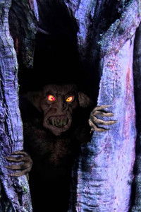 Imagem do Filme Living Night