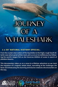Journey of a Whale Shark (2024) subtitle poster