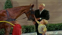The Gift Horse
